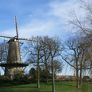 Alkmaar_3